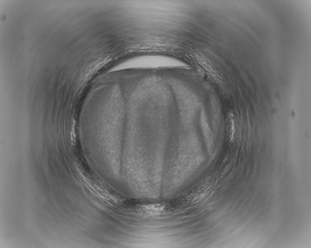 X0000067000692200604241405