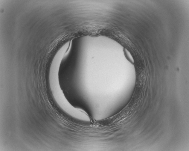 X0000067000693200604241405