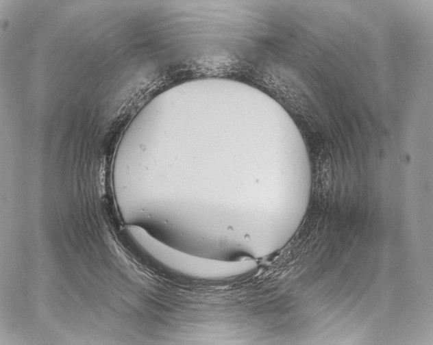 X0000067000694200604241405