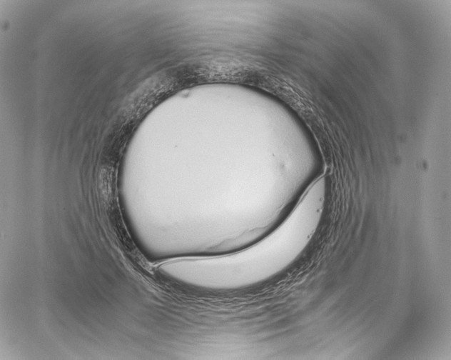 X0000067000695200604241404