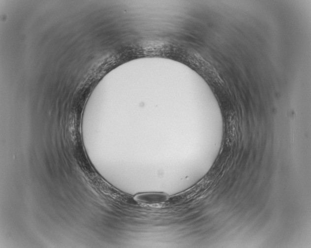 X0000067000698200604241404