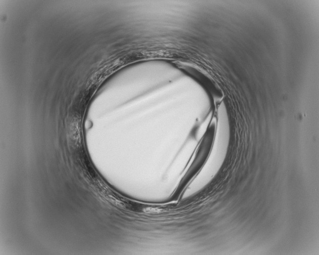 X0000067000699200604241404