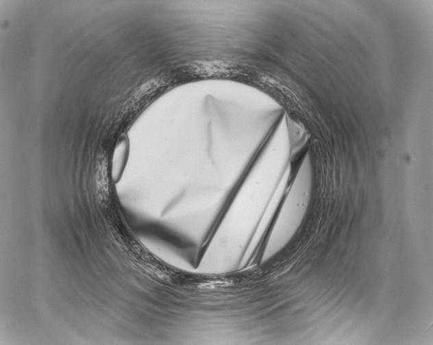 X0000067000700200604241404