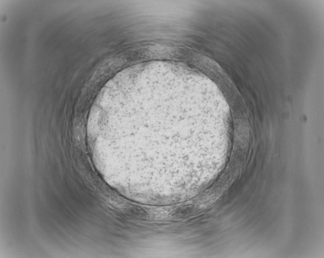 X0000067000701200604241404