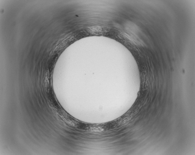 X0000067000702200604241404