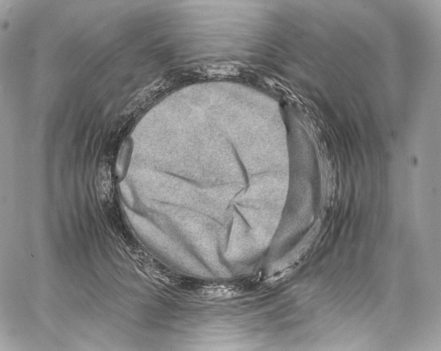 X0000067000704200604241404