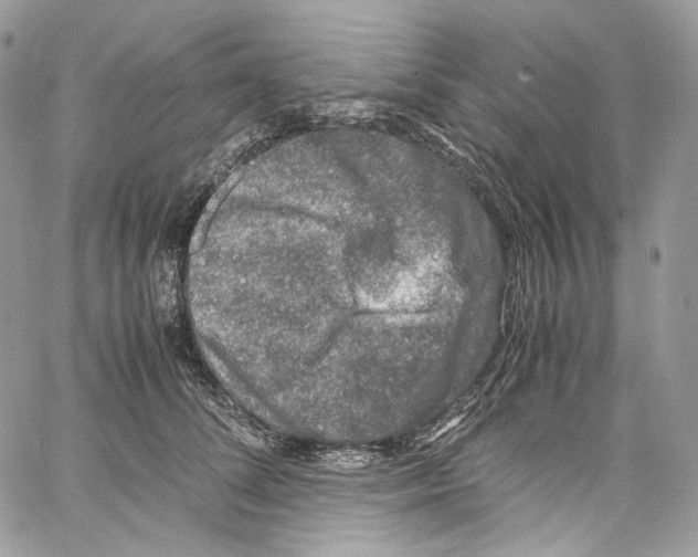 X0000067000708200604241404