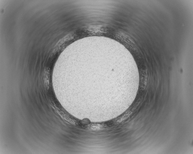 X0000067000710200604241404