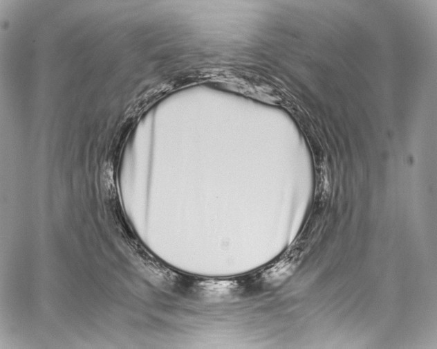 X0000067000711200604241404