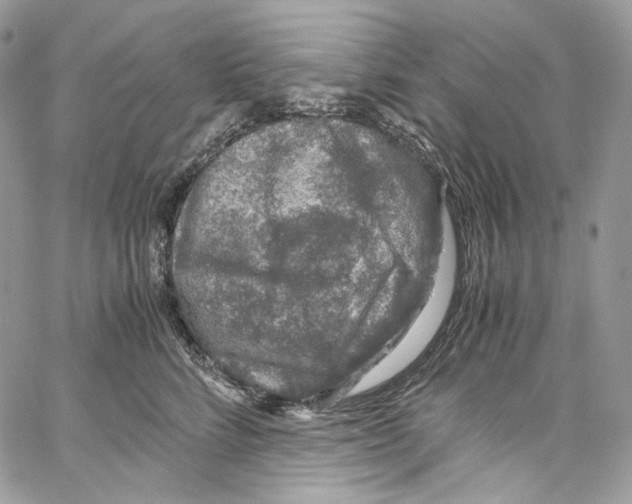 X0000067000712200604241404