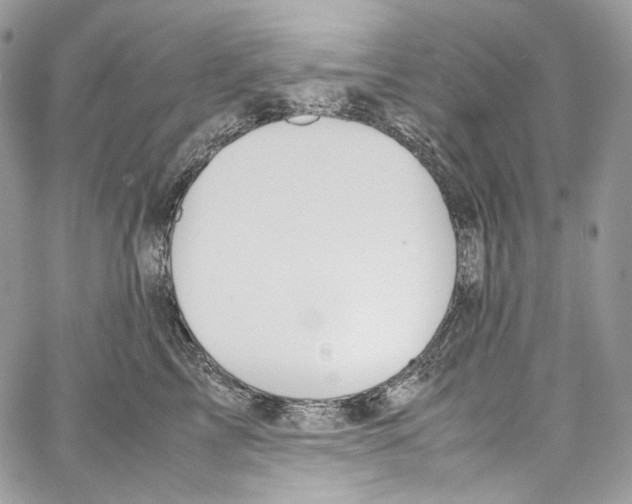 X0000067000713200604241404