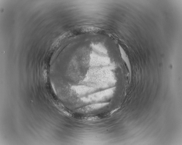 X0000067000716200604241404