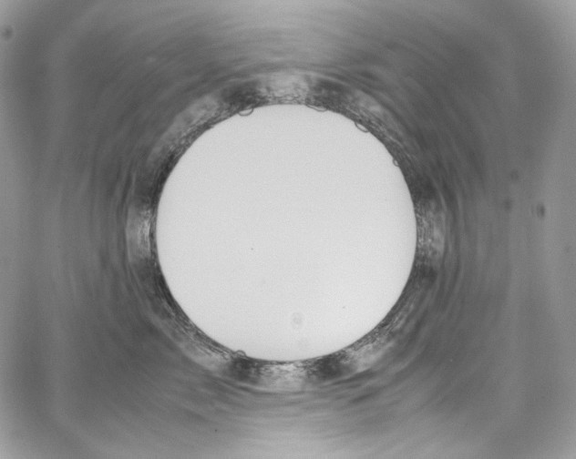 X0000067000717200604241404