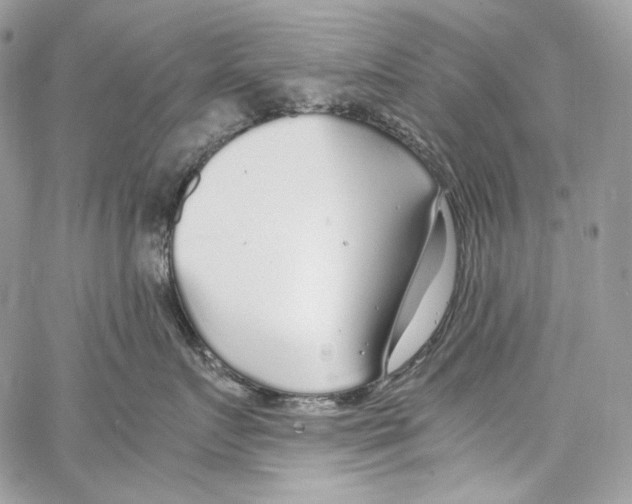 X0000067000719200604241404