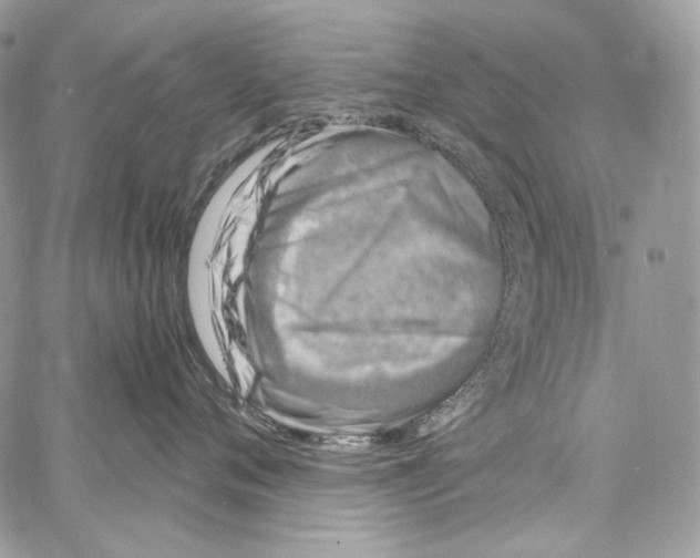 X0000067000720200604241404