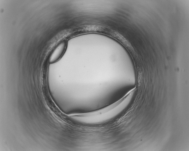 X0000067000722200604241403