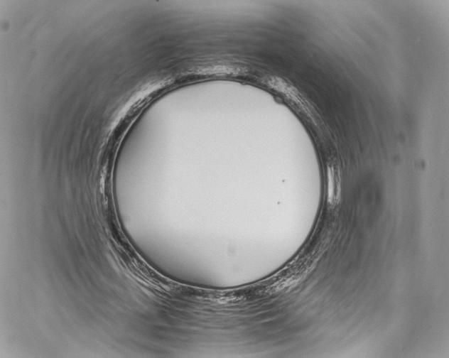 X0000067000723200604241403