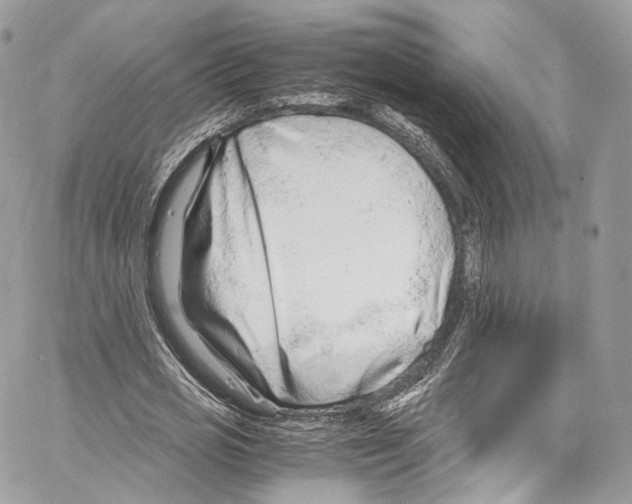 X0000067000725200604241403