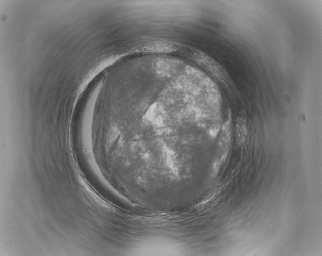 X0000067000726200604241403