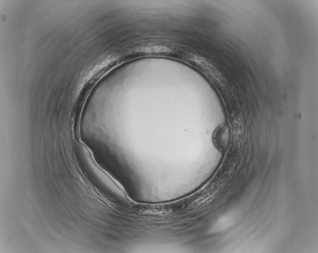 X0000067000727200604241403