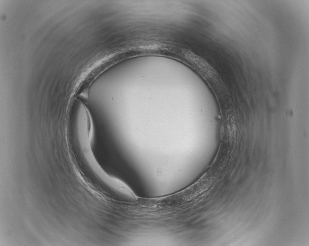 X0000067000728200604241403