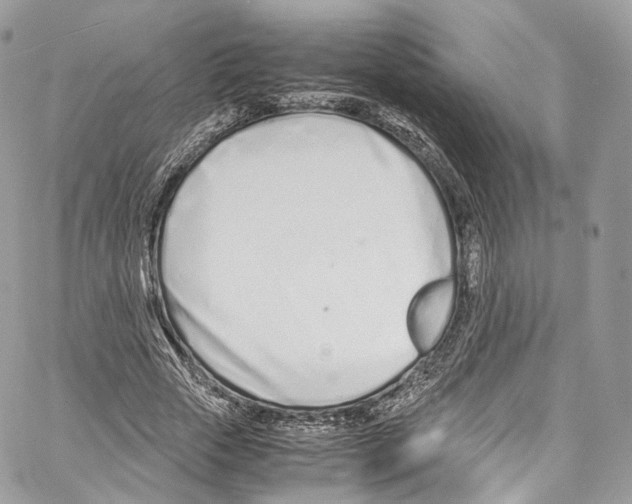 X0000067000729200604241403