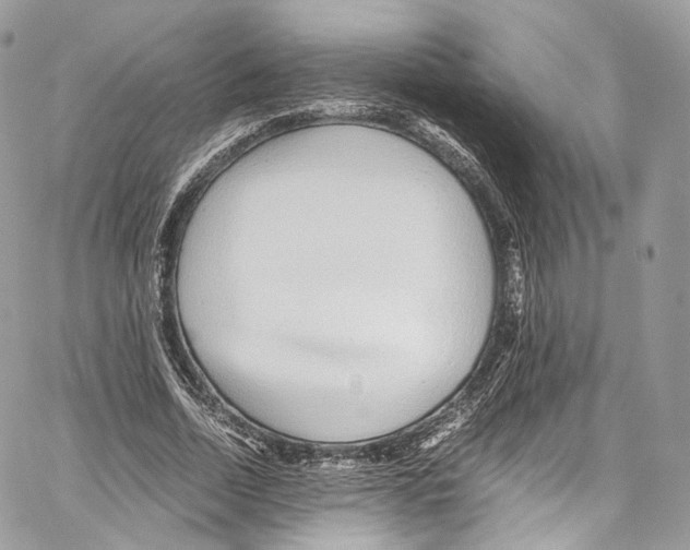 X0000067000730200604241403