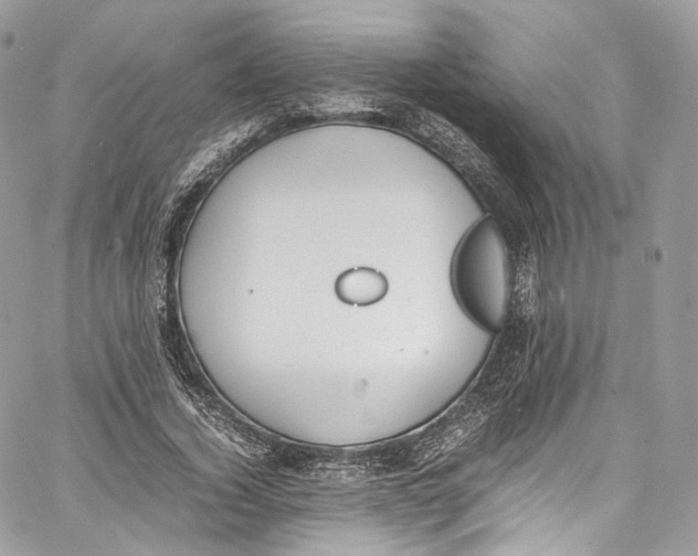 X0000067000732200604241403