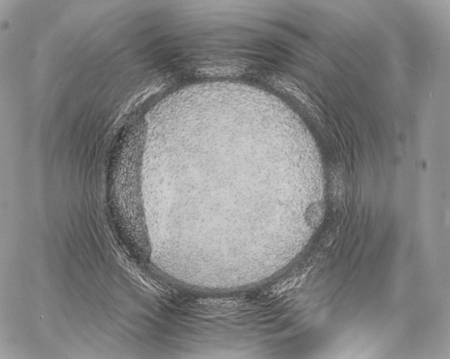 X0000067000733200604241403