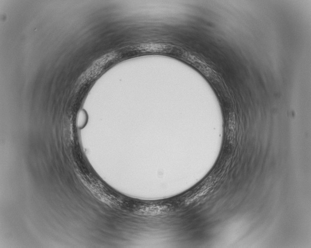 X0000067000734200604241403