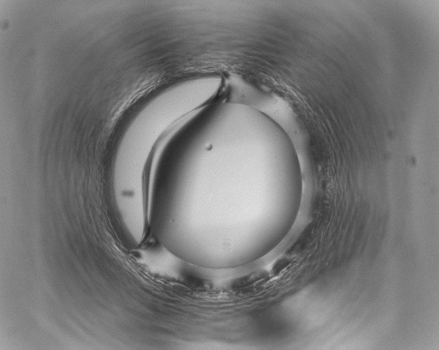 X0000067000735200604241404