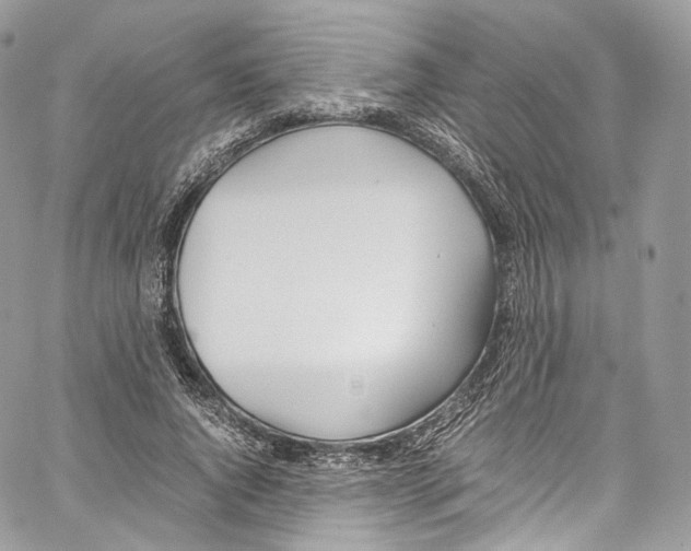 X0000067000736200604241404