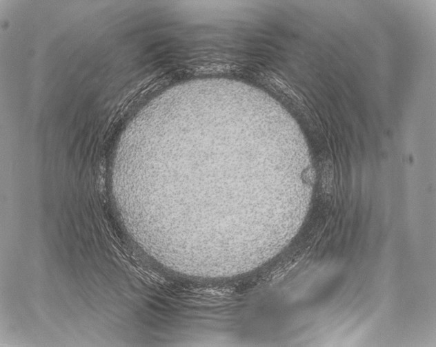 X0000067000737200604241404