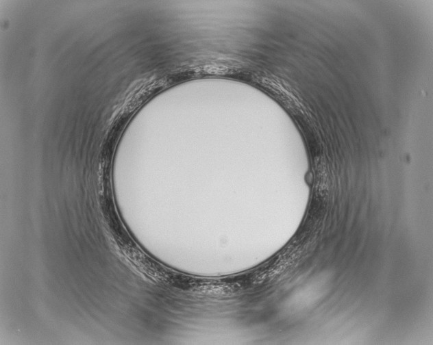 X0000067000738200604241404