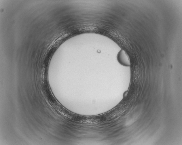 X0000067000739200604241404