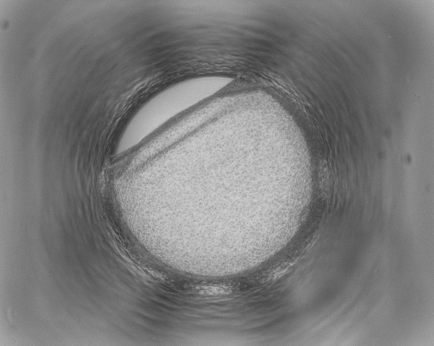 X0000067000741200604241404