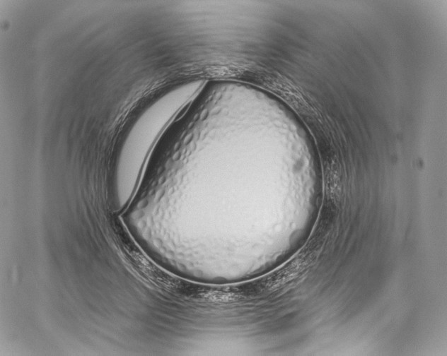 X0000067000742200604241404