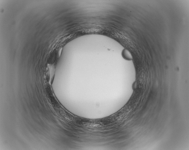 X0000067000743200604241404