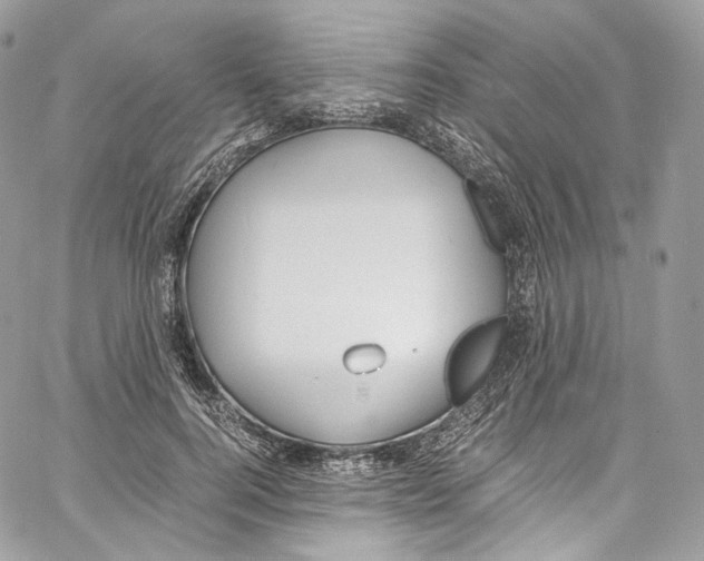 X0000067000744200604241404