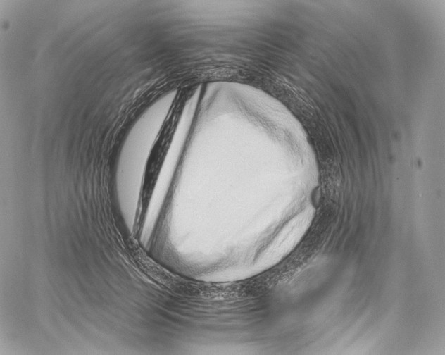 X0000067000745200604241404