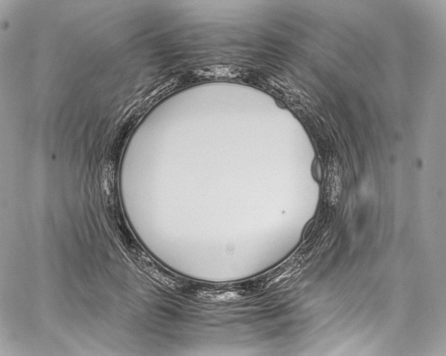 X0000067000747200604241404