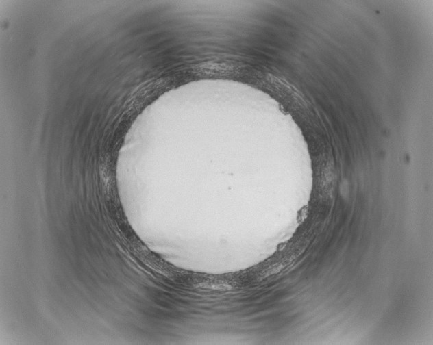 X0000067000749200604241404