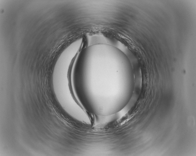 X0000067000750200604241404