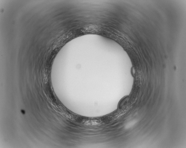 X0000067000751200604241404