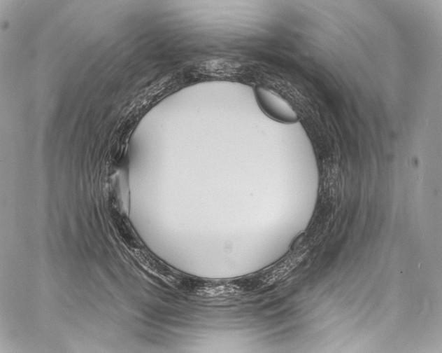 X0000067000752200604241404