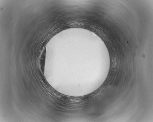 X0000067000753200604241404