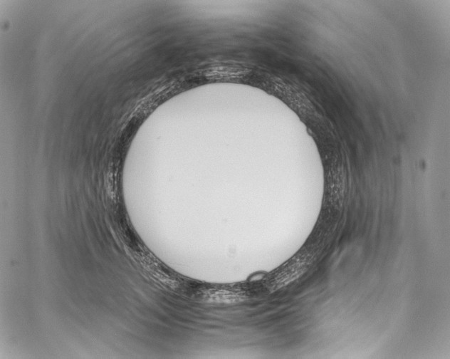 X0000067000755200604241404