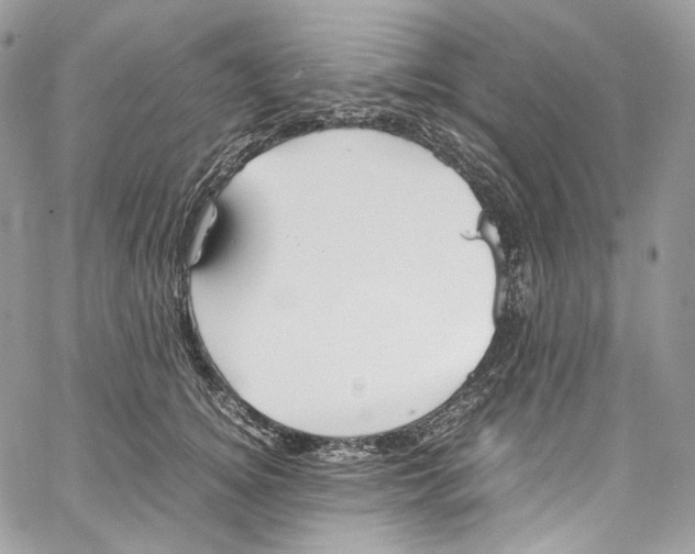 X0000067000756200604241404