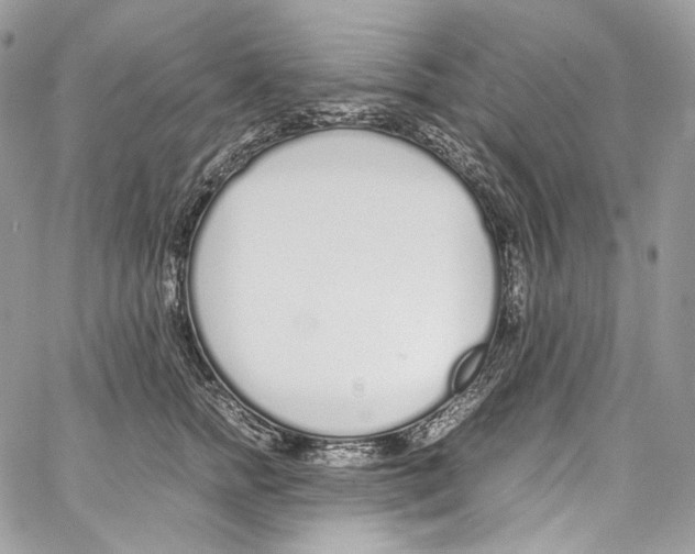 X0000067000758200604241404