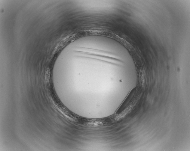 X0000067000760200604241404